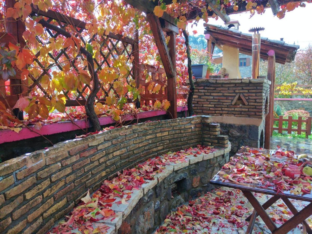 Hotel Archontiko Nikolopoulou Vytina Esterno foto
