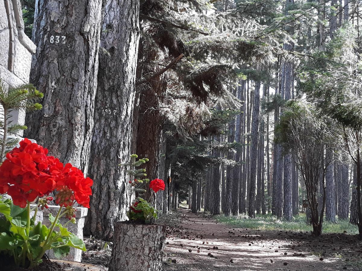 Hotel Archontiko Nikolopoulou Vytina Esterno foto