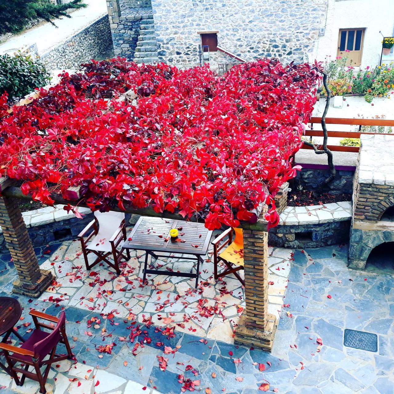 Hotel Archontiko Nikolopoulou Vytina Esterno foto