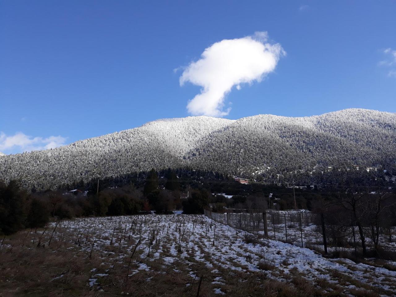 Hotel Archontiko Nikolopoulou Vytina Esterno foto